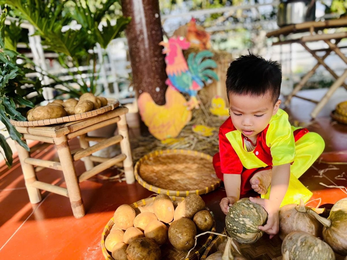 Ảnh hoạt động