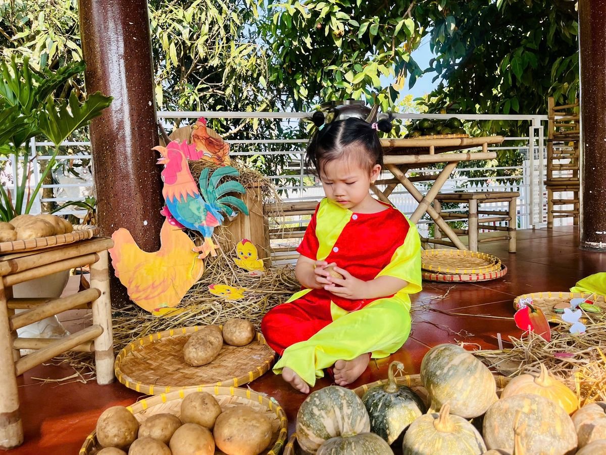 Ảnh hoạt động