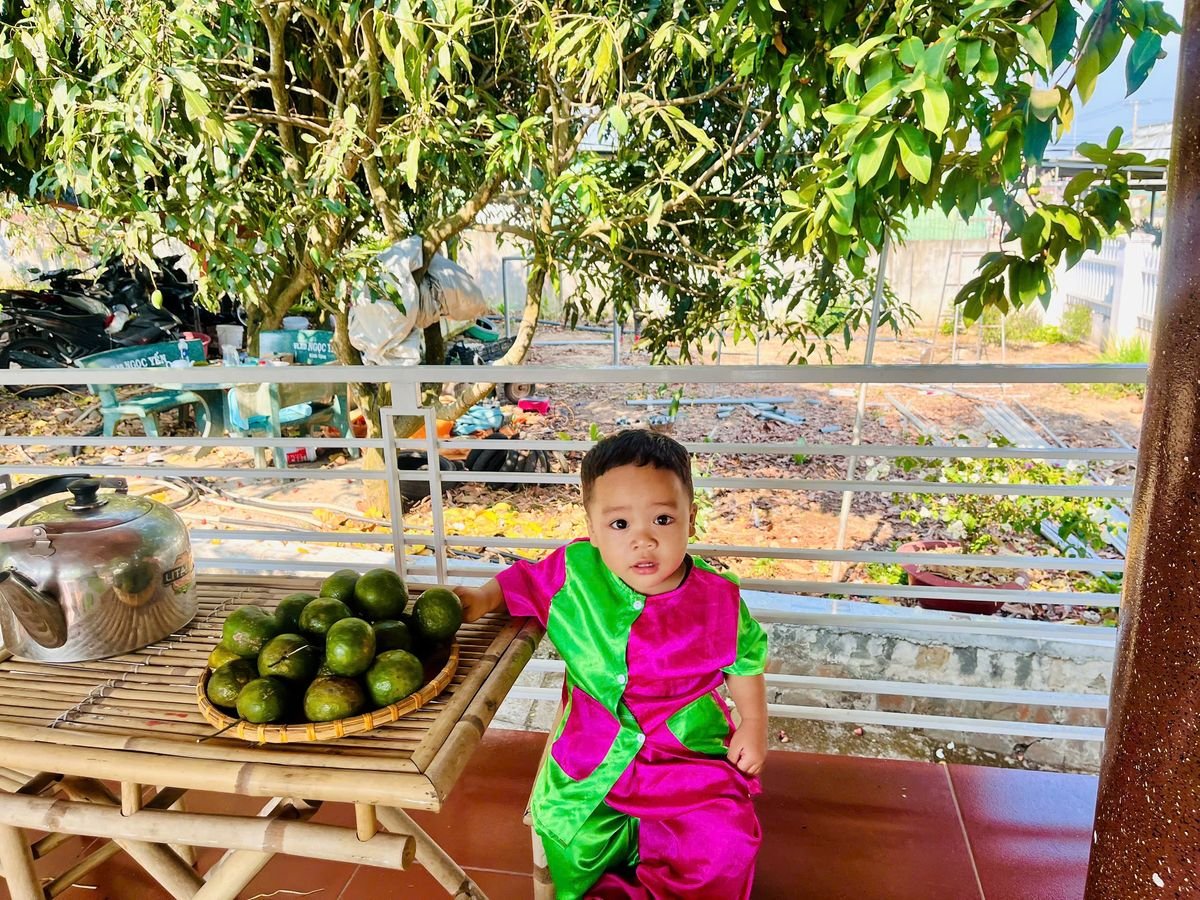 Ảnh hoạt động