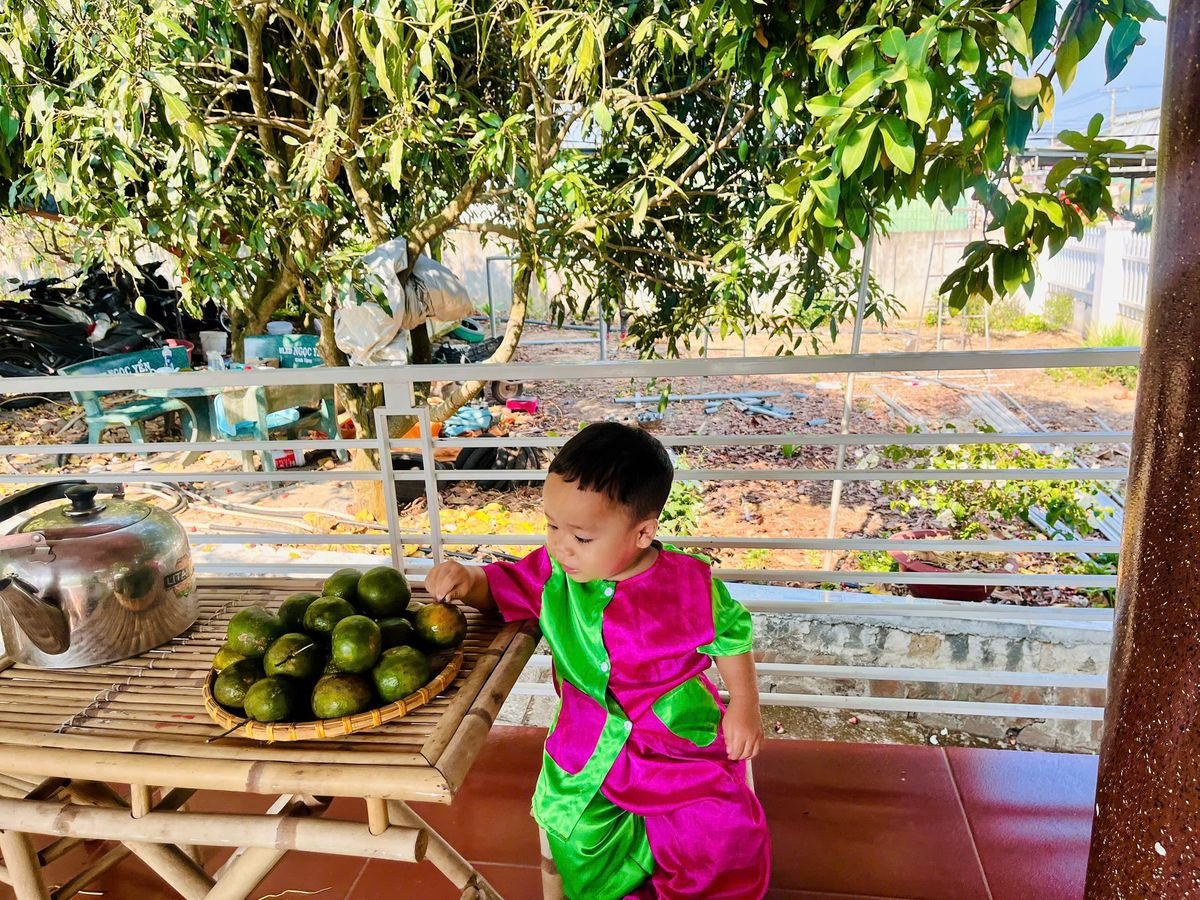 Ảnh hoạt động