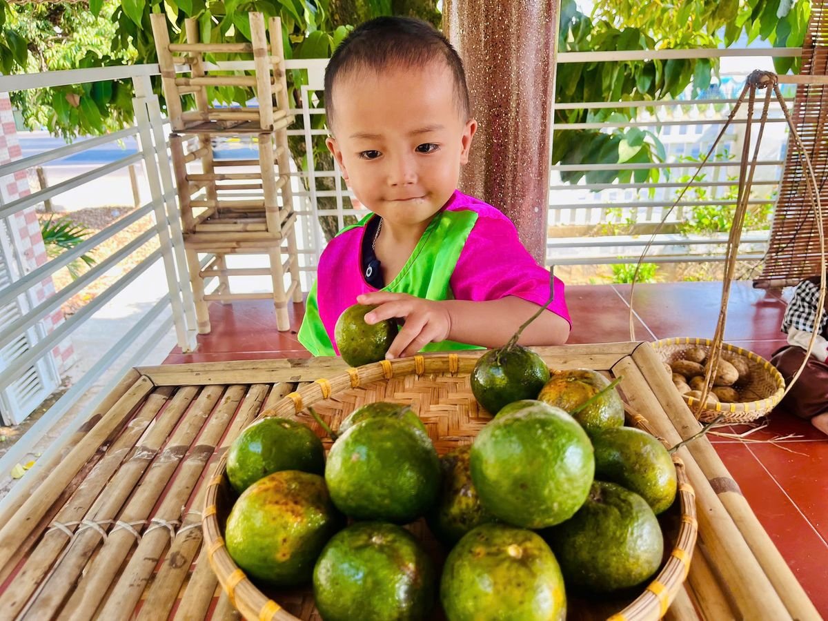 Ảnh hoạt động