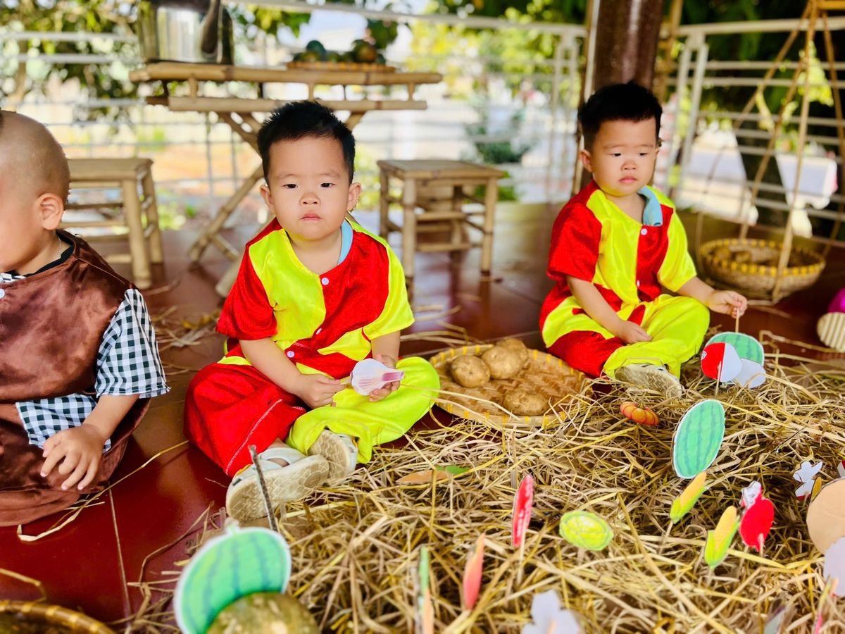 Ảnh hoạt động