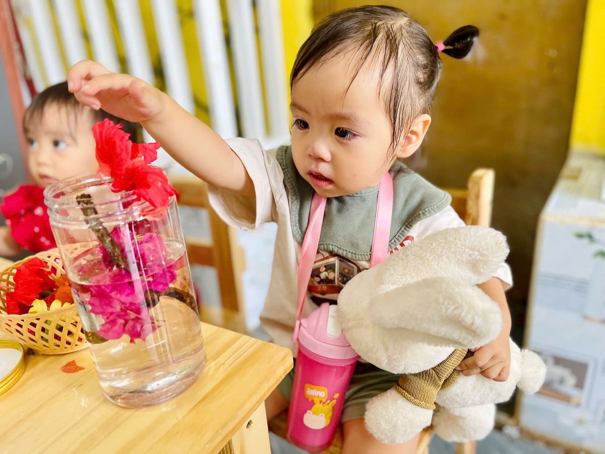 Ảnh hoạt động