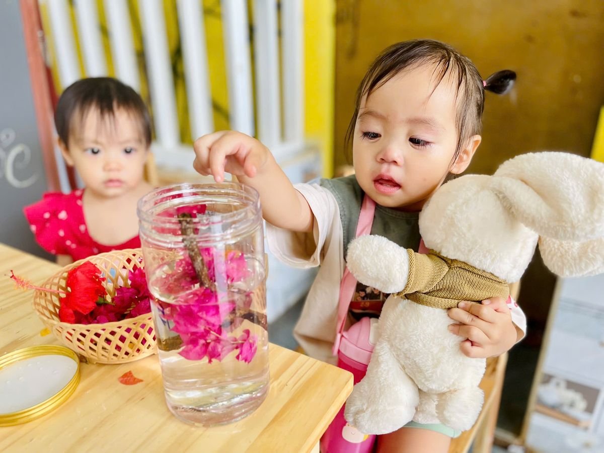 Ảnh hoạt động