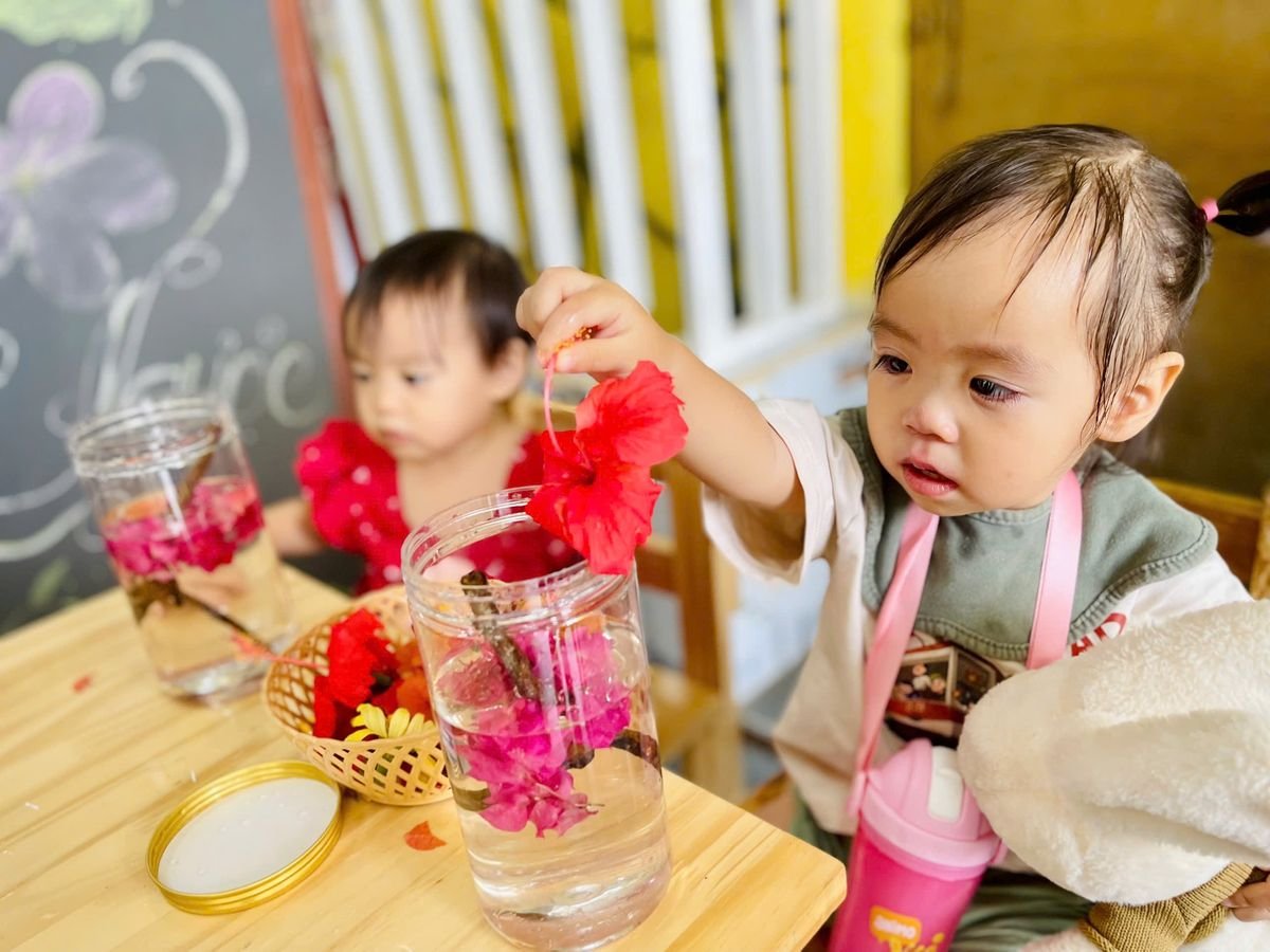 Ảnh hoạt động