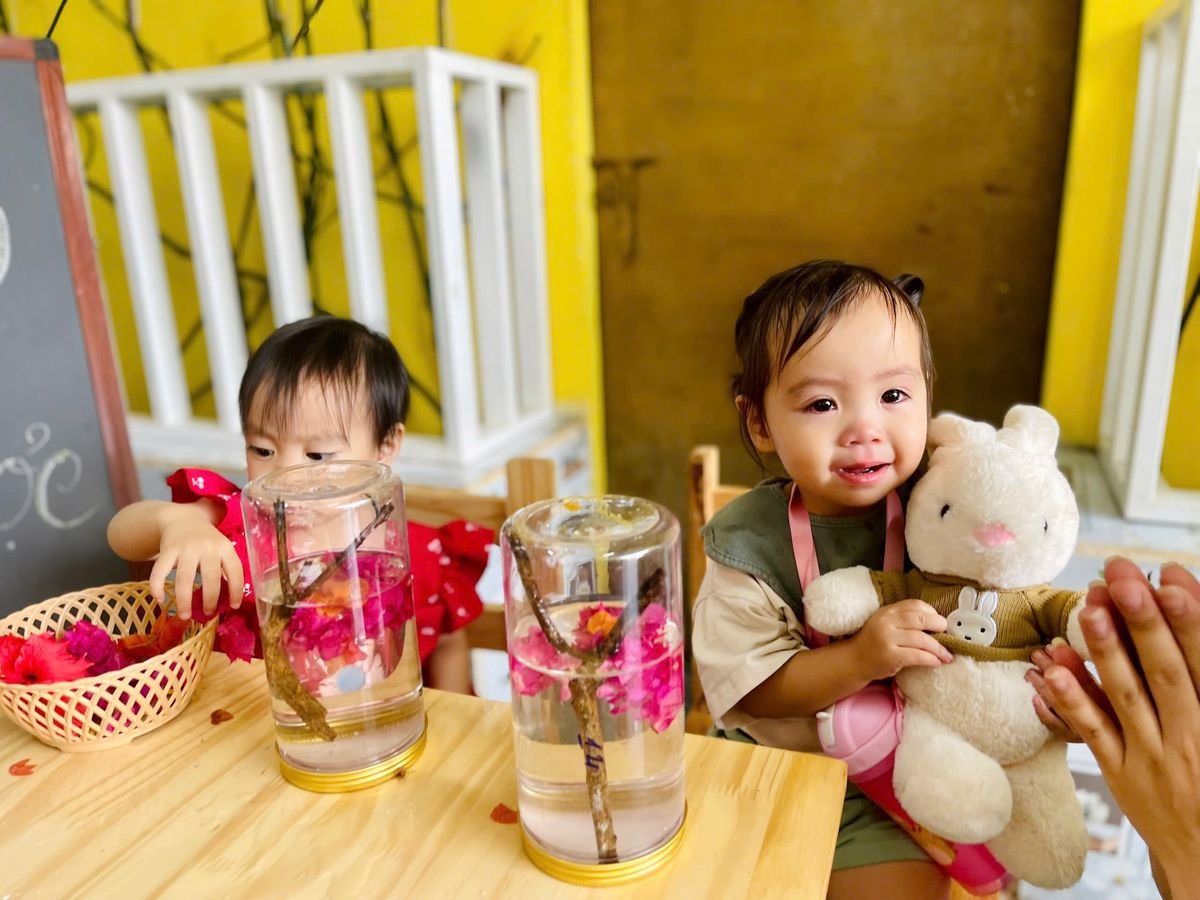 Ảnh hoạt động