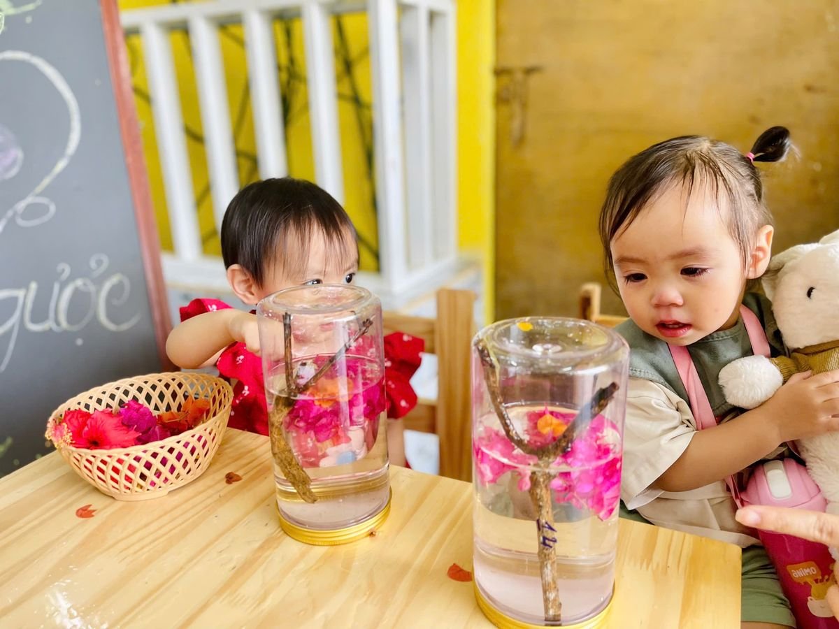 Ảnh hoạt động