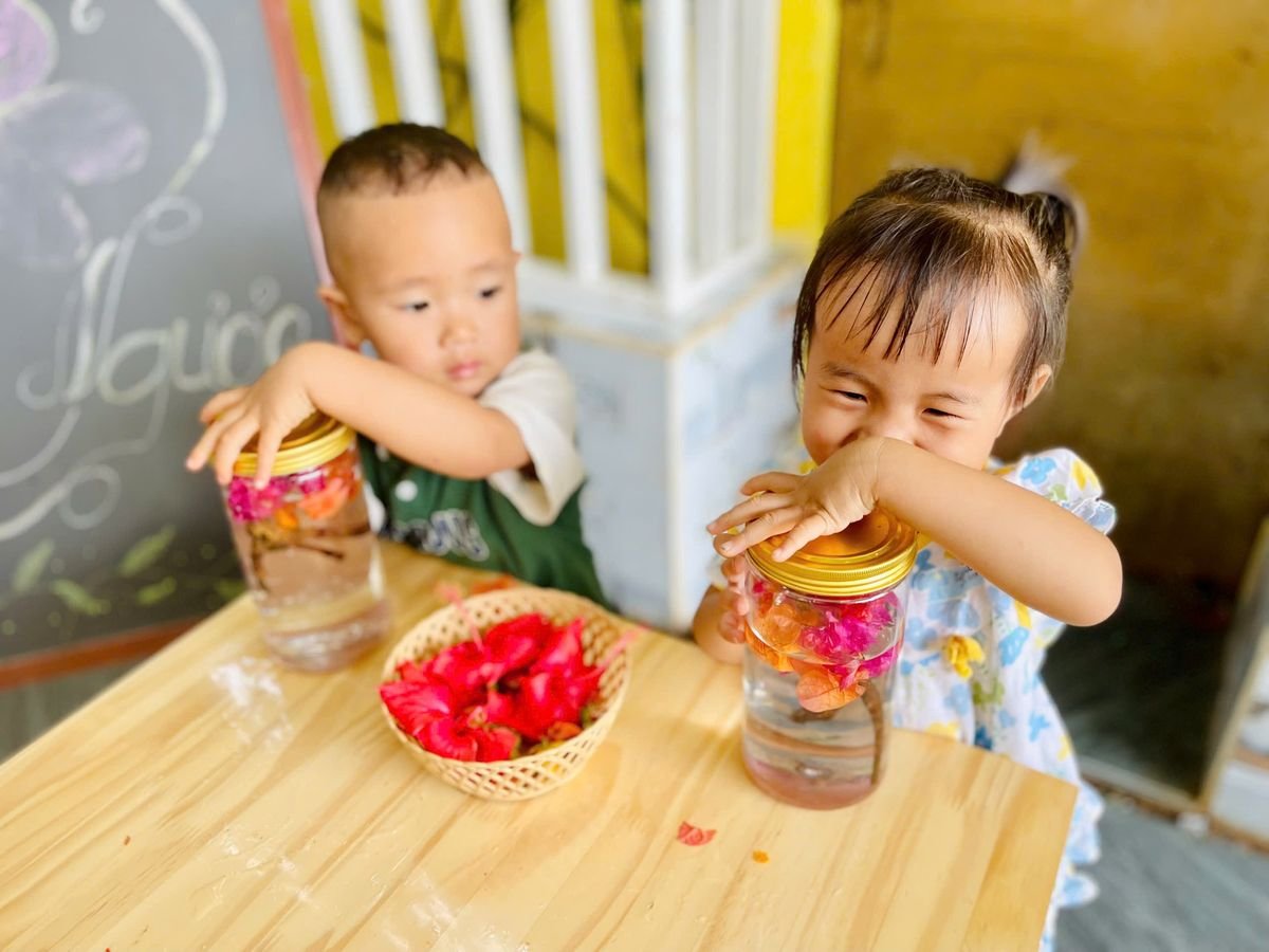 Ảnh hoạt động