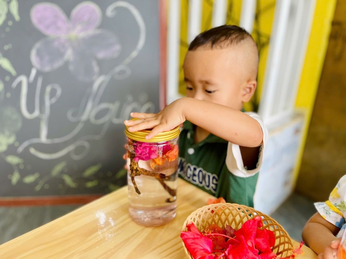 Ảnh hoạt động