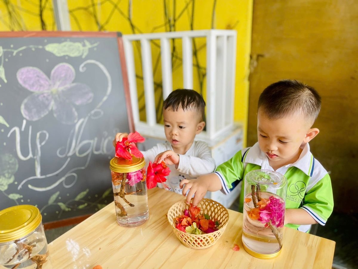 Ảnh hoạt động