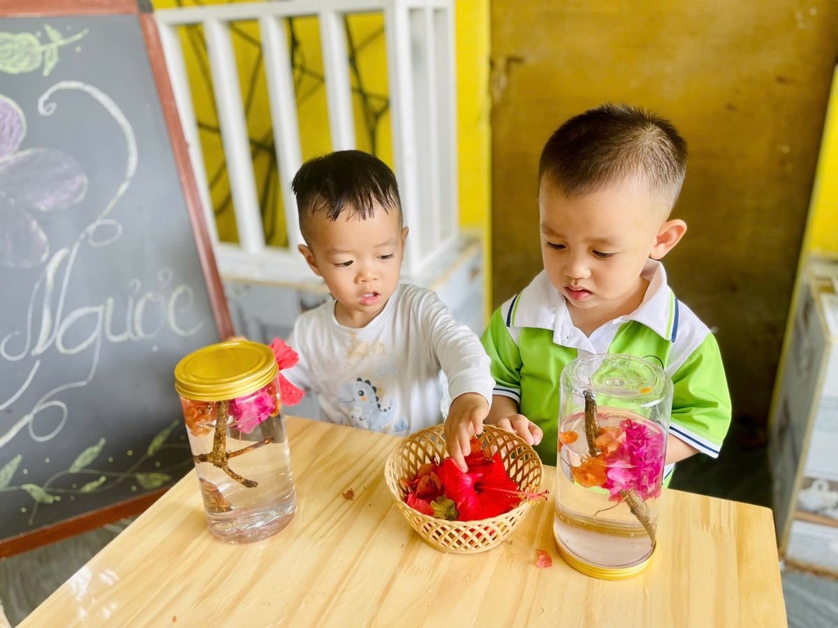 Ảnh hoạt động