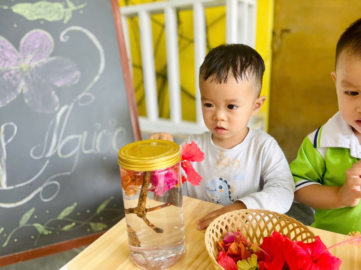 Ảnh hoạt động