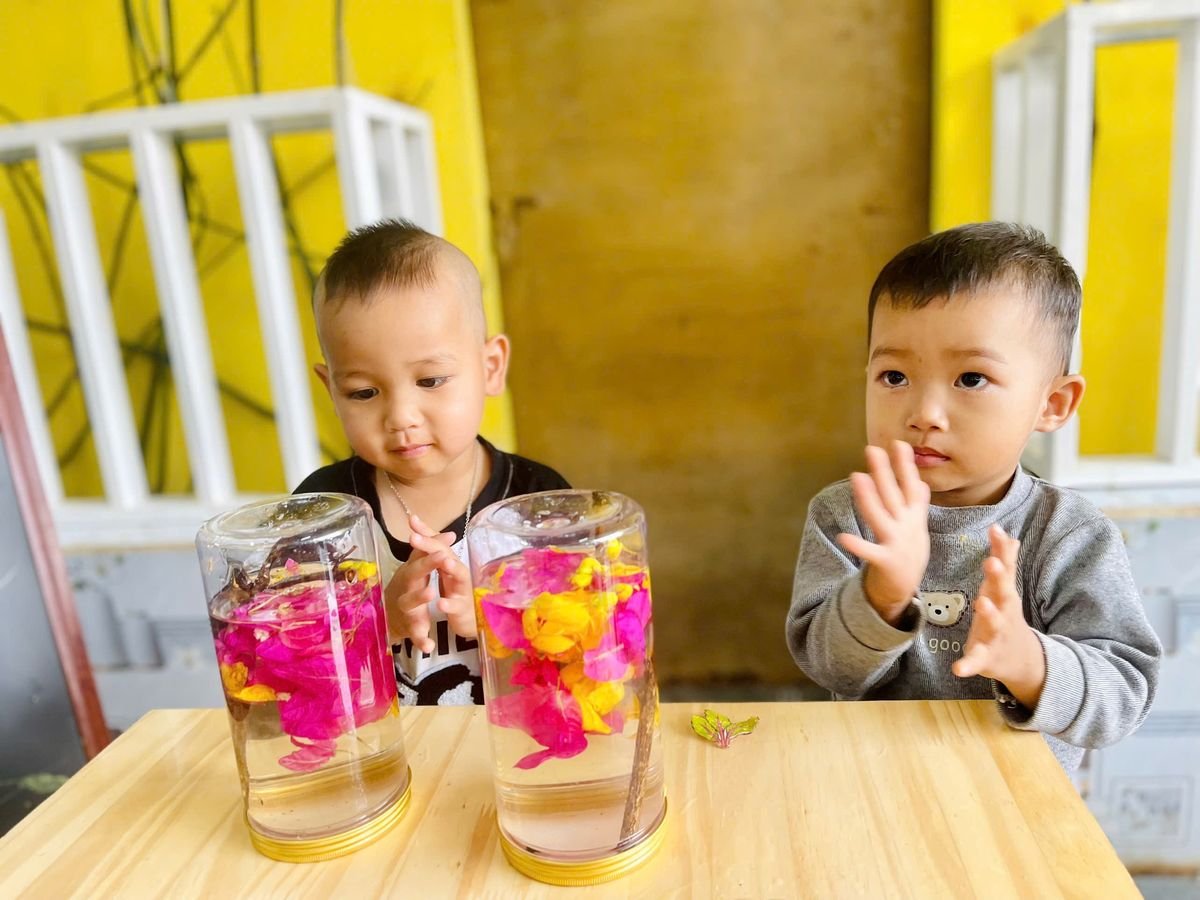 Ảnh hoạt động