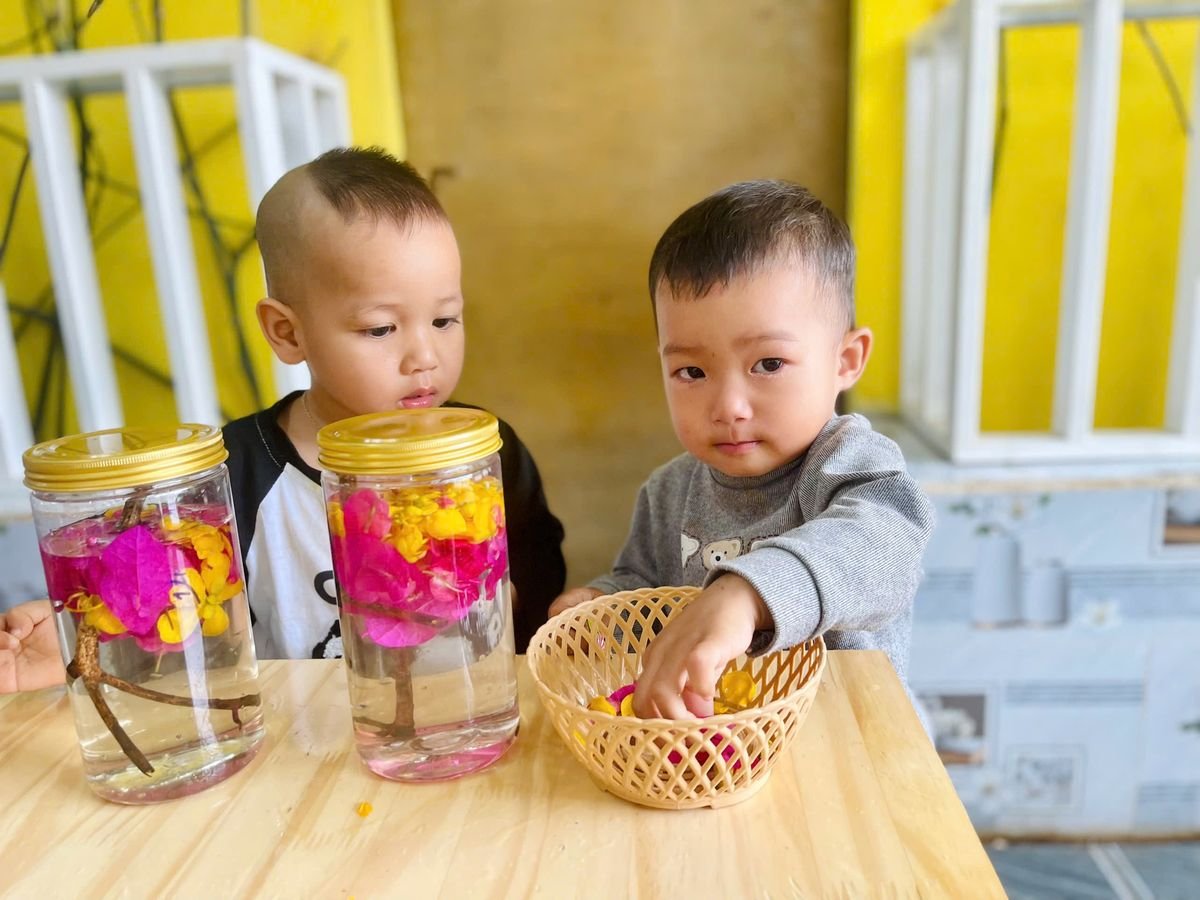 Ảnh hoạt động