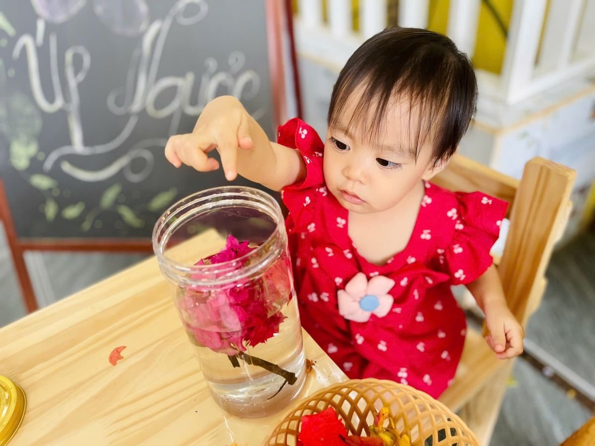 Ảnh hoạt động