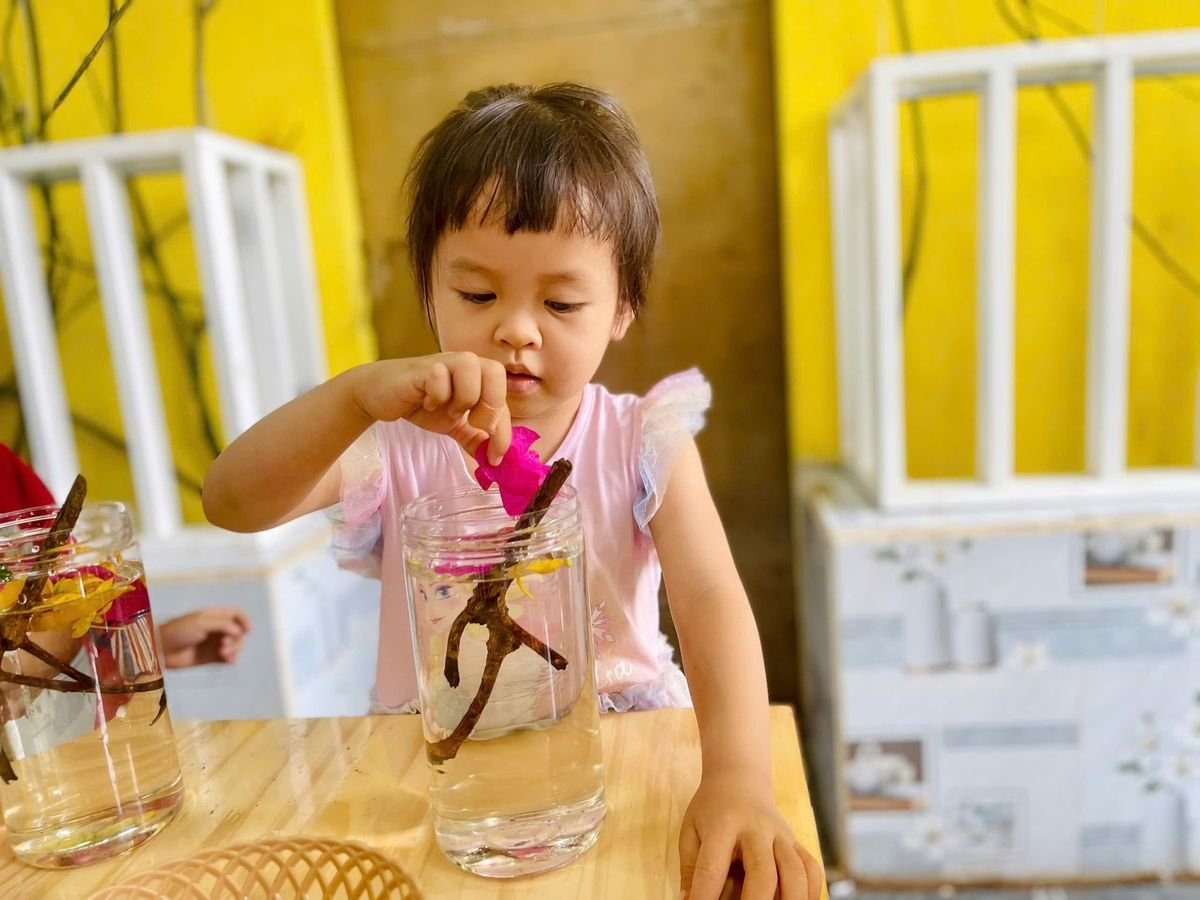 Ảnh hoạt động