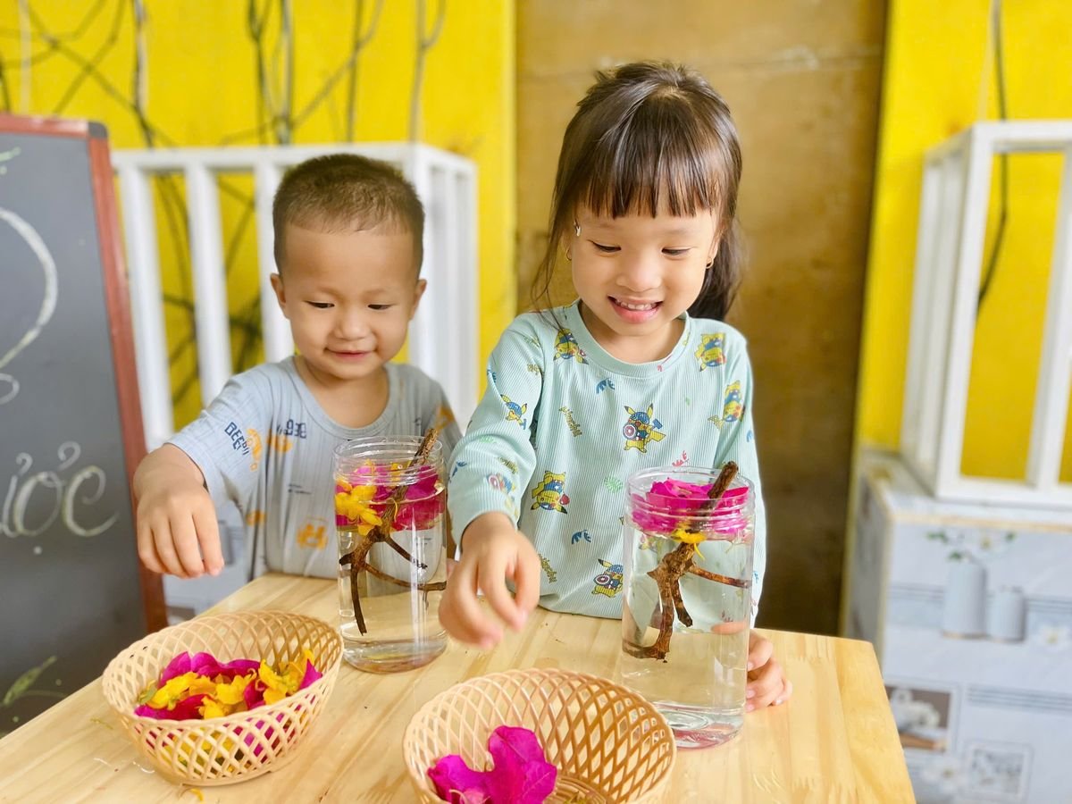 Ảnh hoạt động