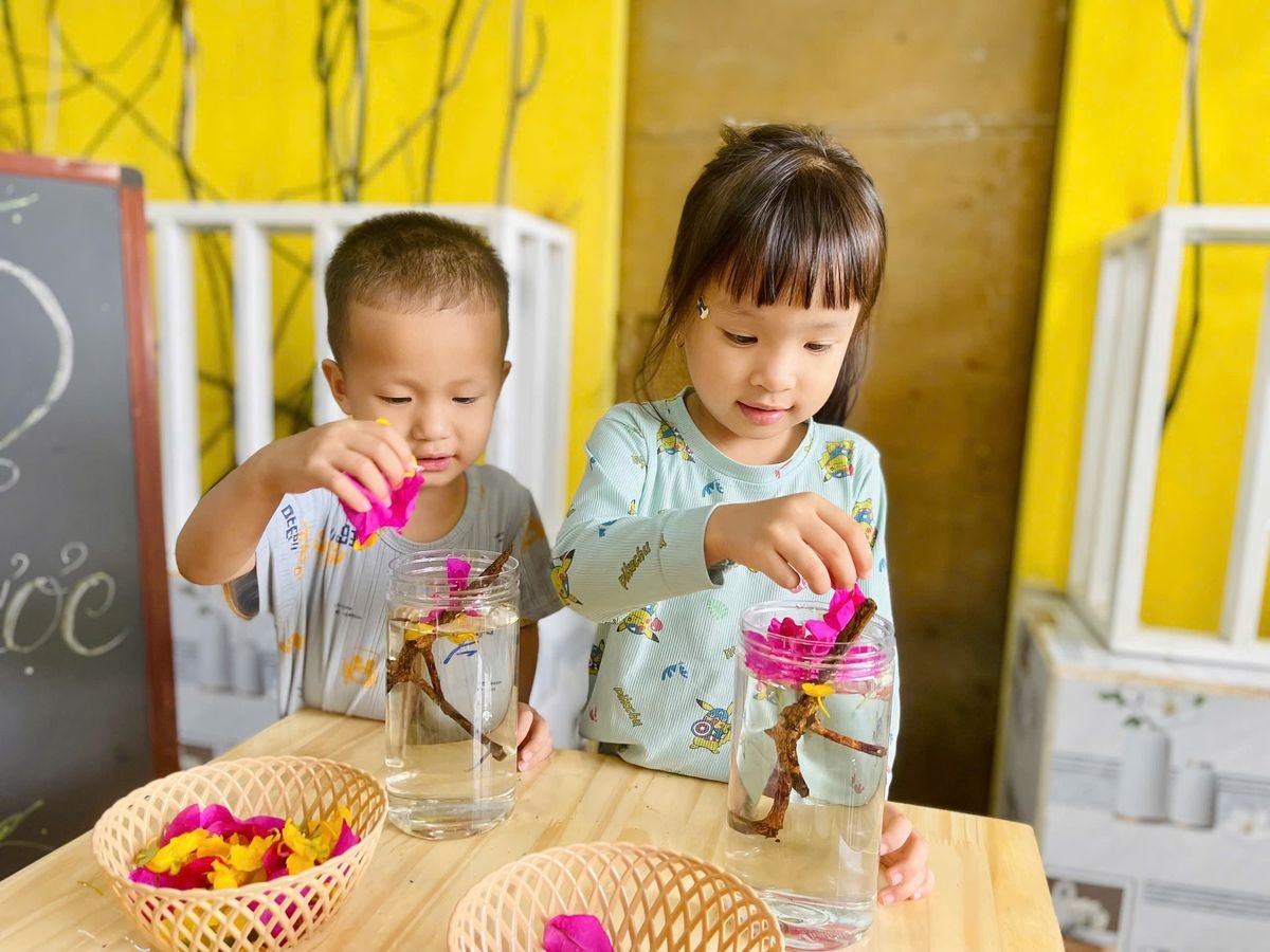 Ảnh hoạt động