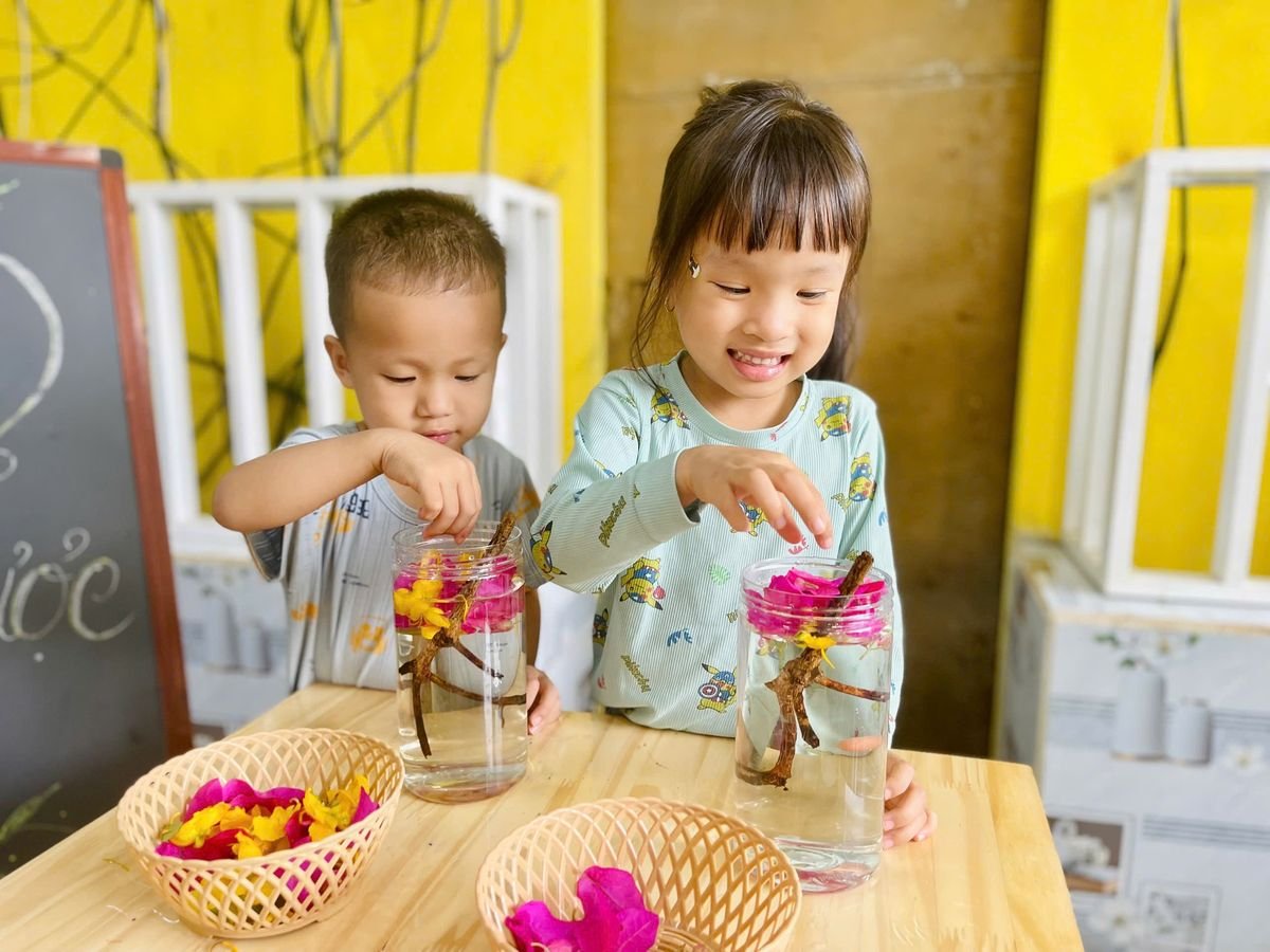 Ảnh hoạt động