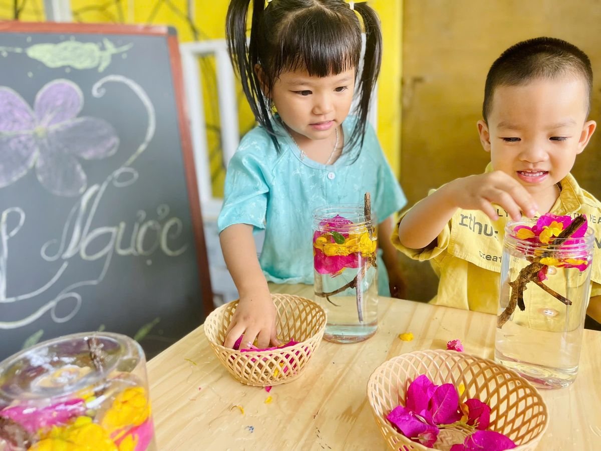 Ảnh hoạt động