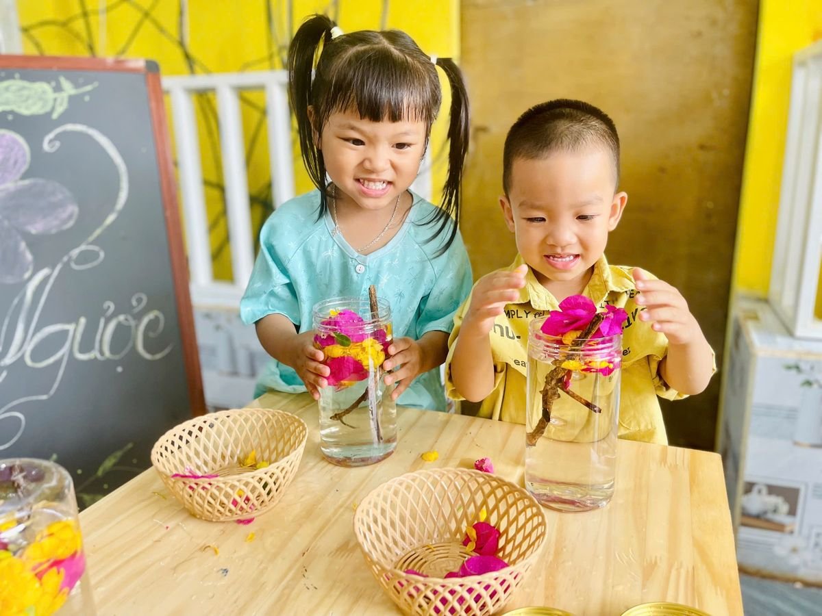 Ảnh hoạt động