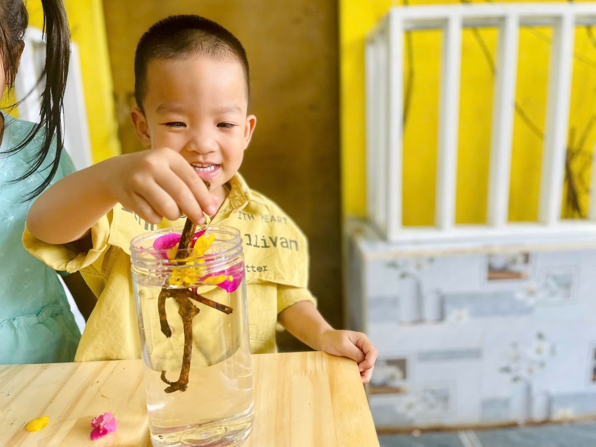 Ảnh hoạt động