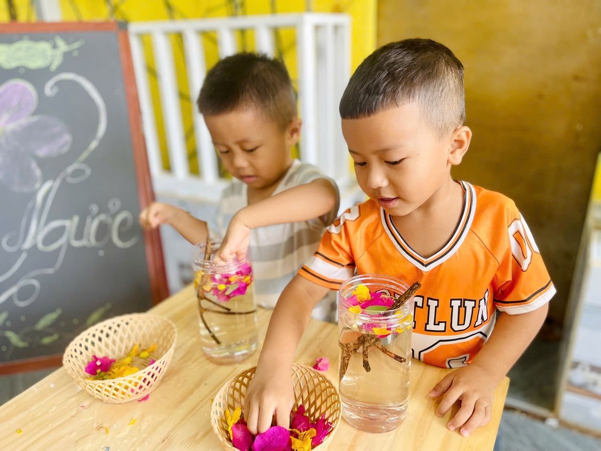 Ảnh hoạt động