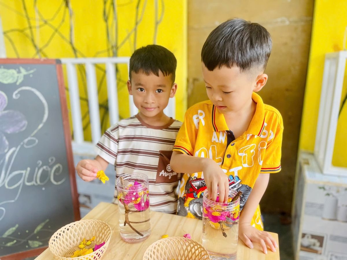 Ảnh hoạt động