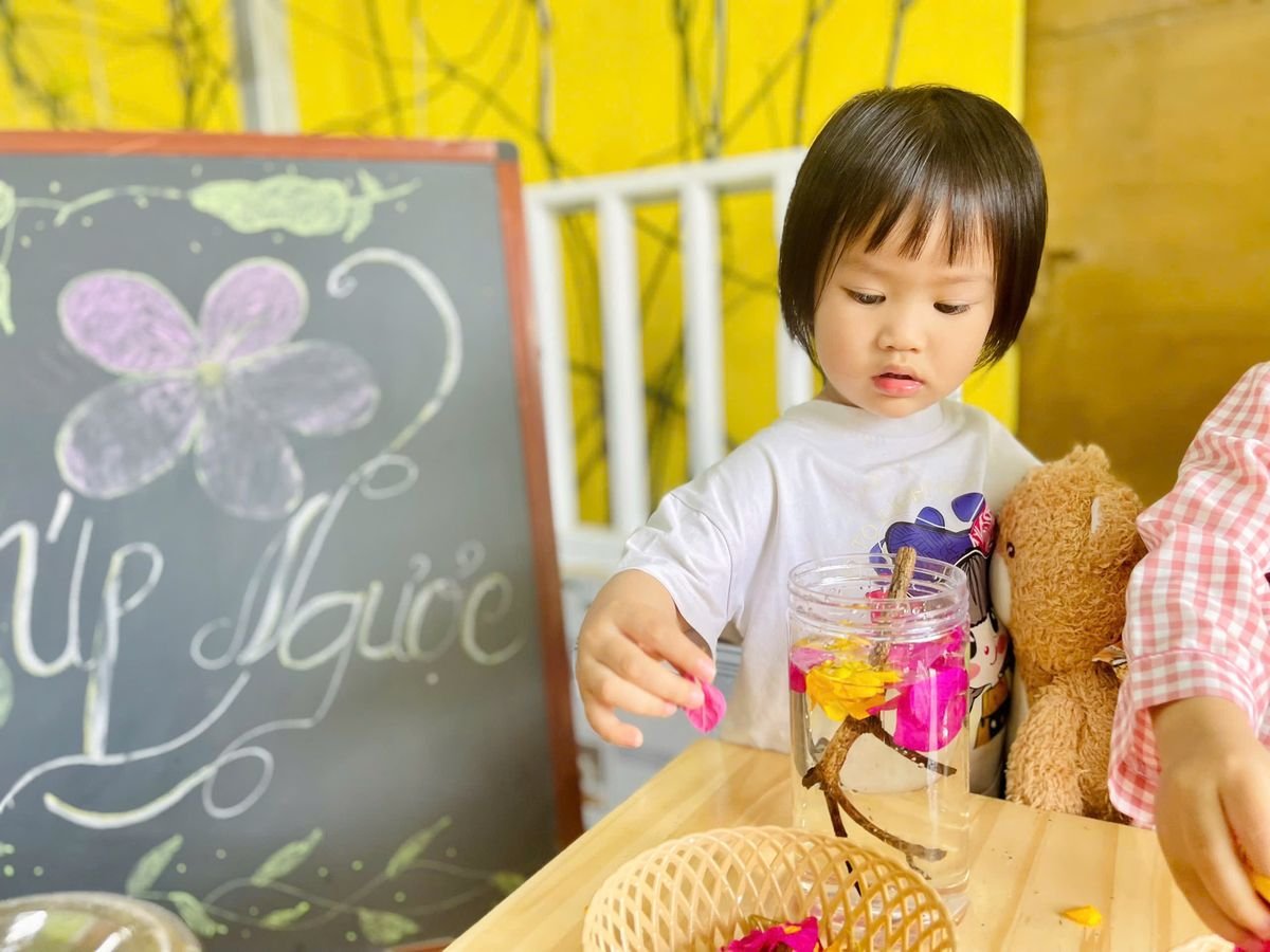 Ảnh hoạt động