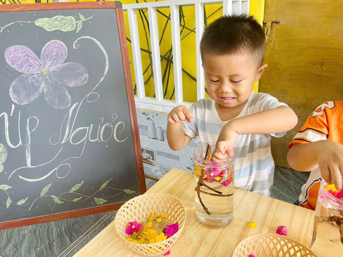 Ảnh hoạt động