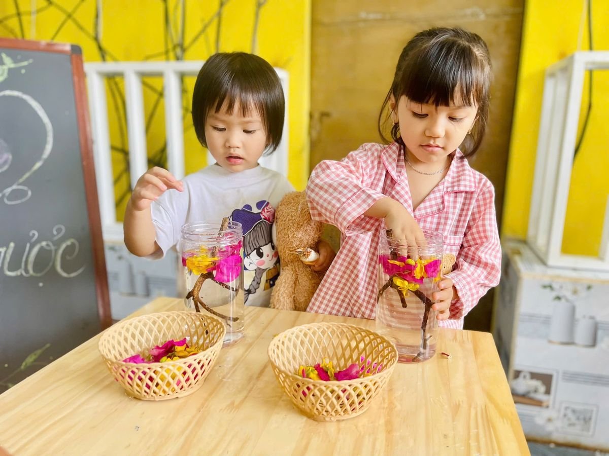 Ảnh hoạt động