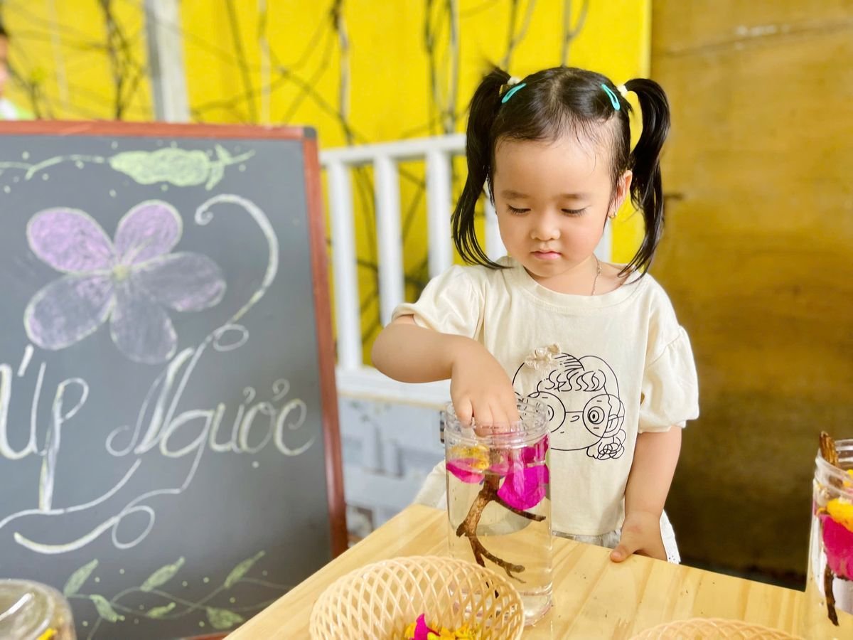 Ảnh hoạt động