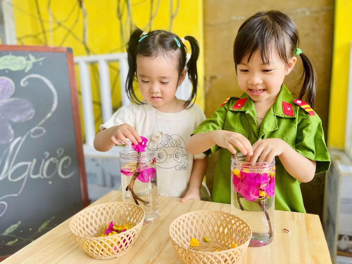 Ảnh hoạt động