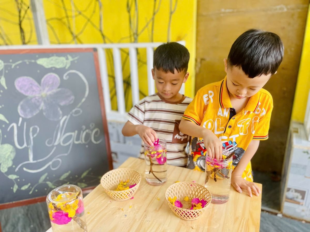 Ảnh hoạt động