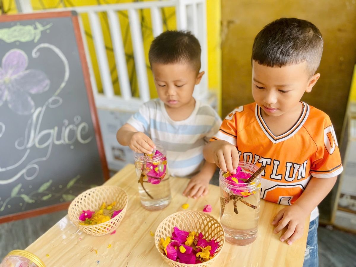 Ảnh hoạt động