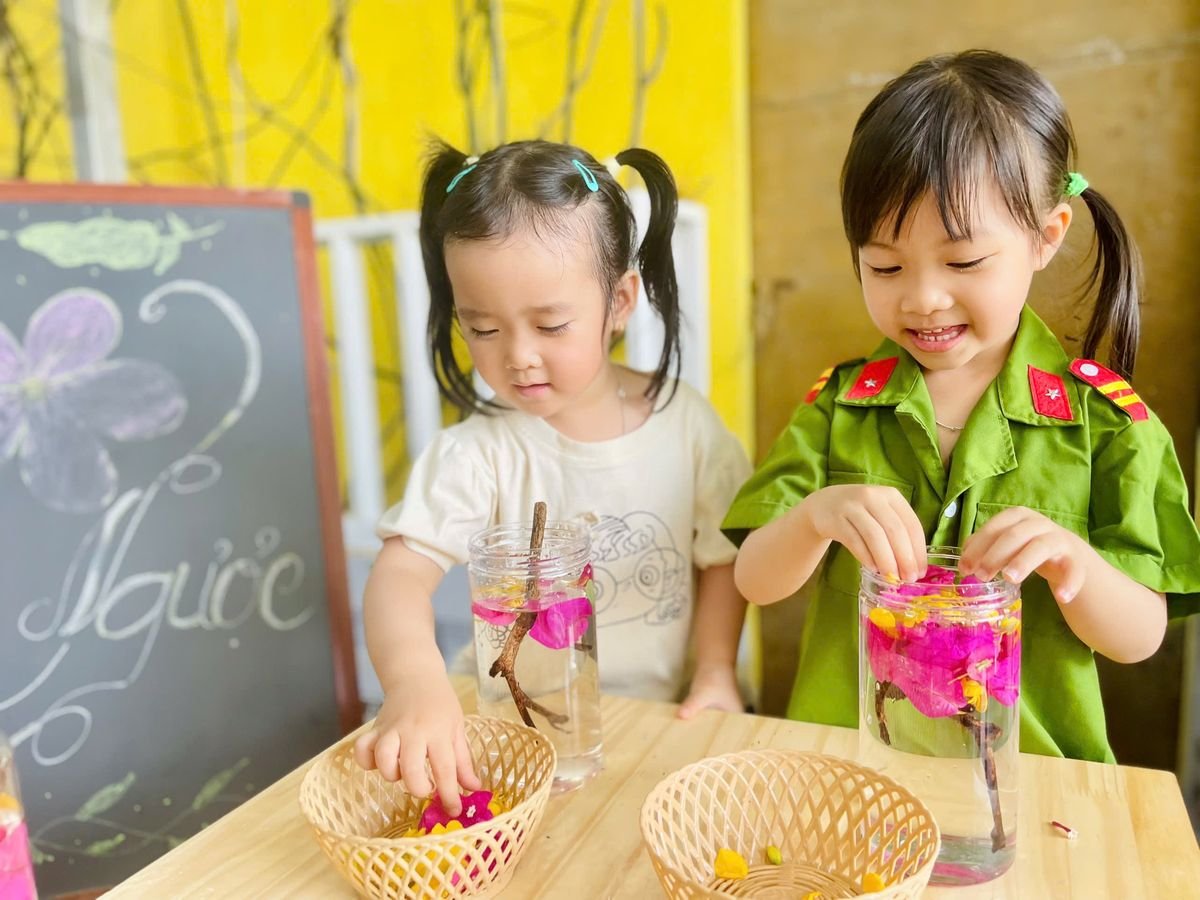 Ảnh hoạt động