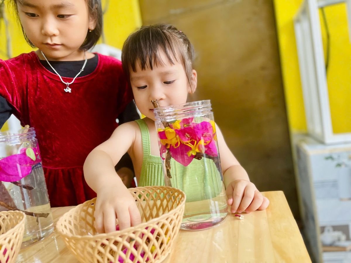 Ảnh hoạt động