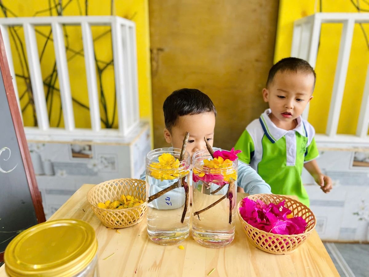 Ảnh hoạt động