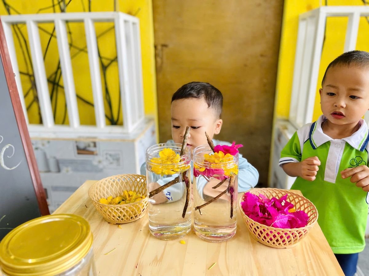 Ảnh hoạt động