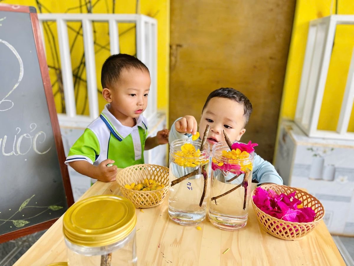 Ảnh hoạt động