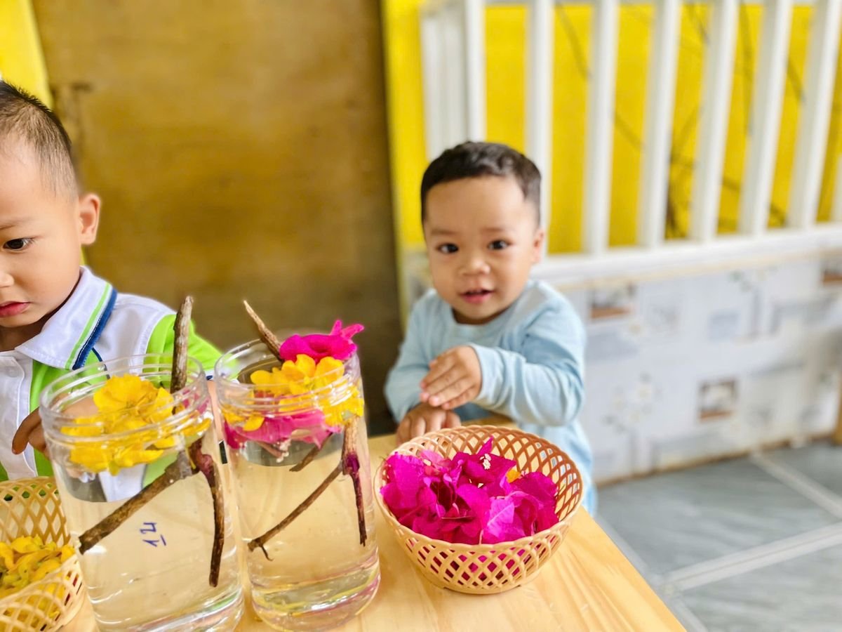 Ảnh hoạt động