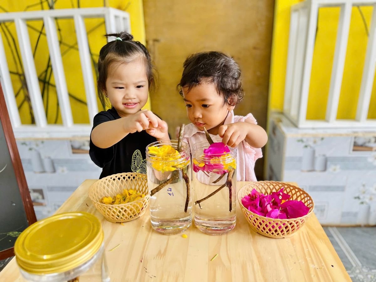 Ảnh hoạt động