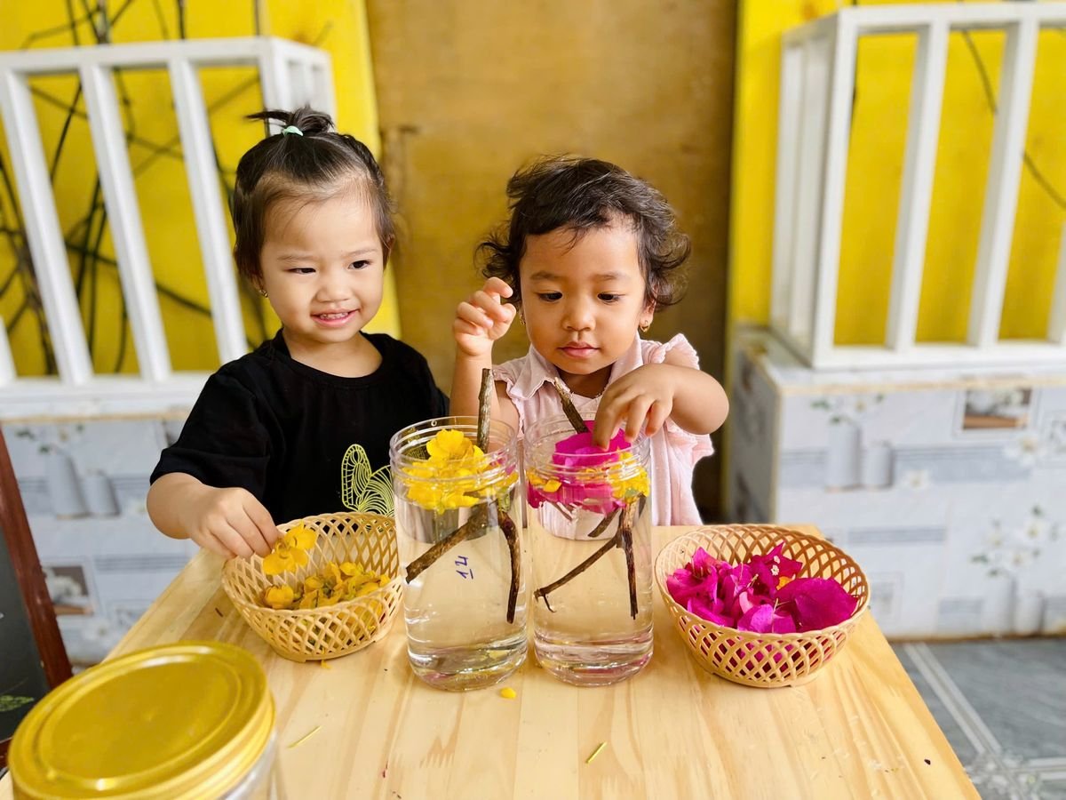 Ảnh hoạt động