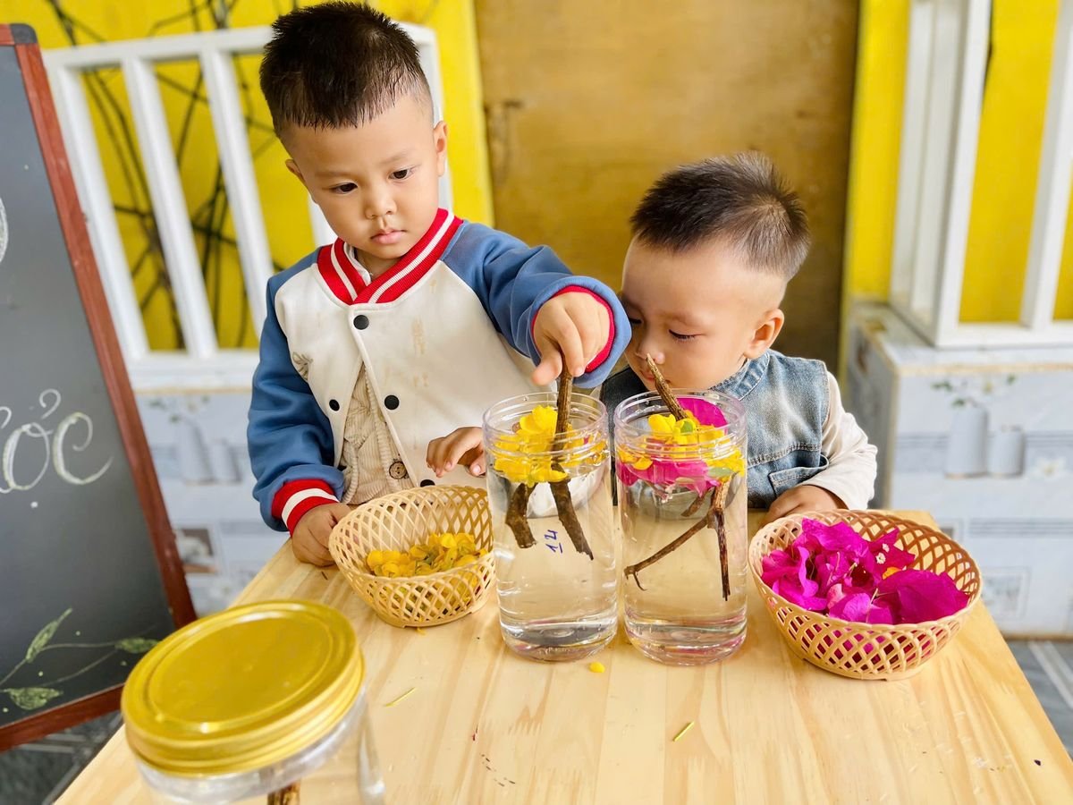 Ảnh hoạt động