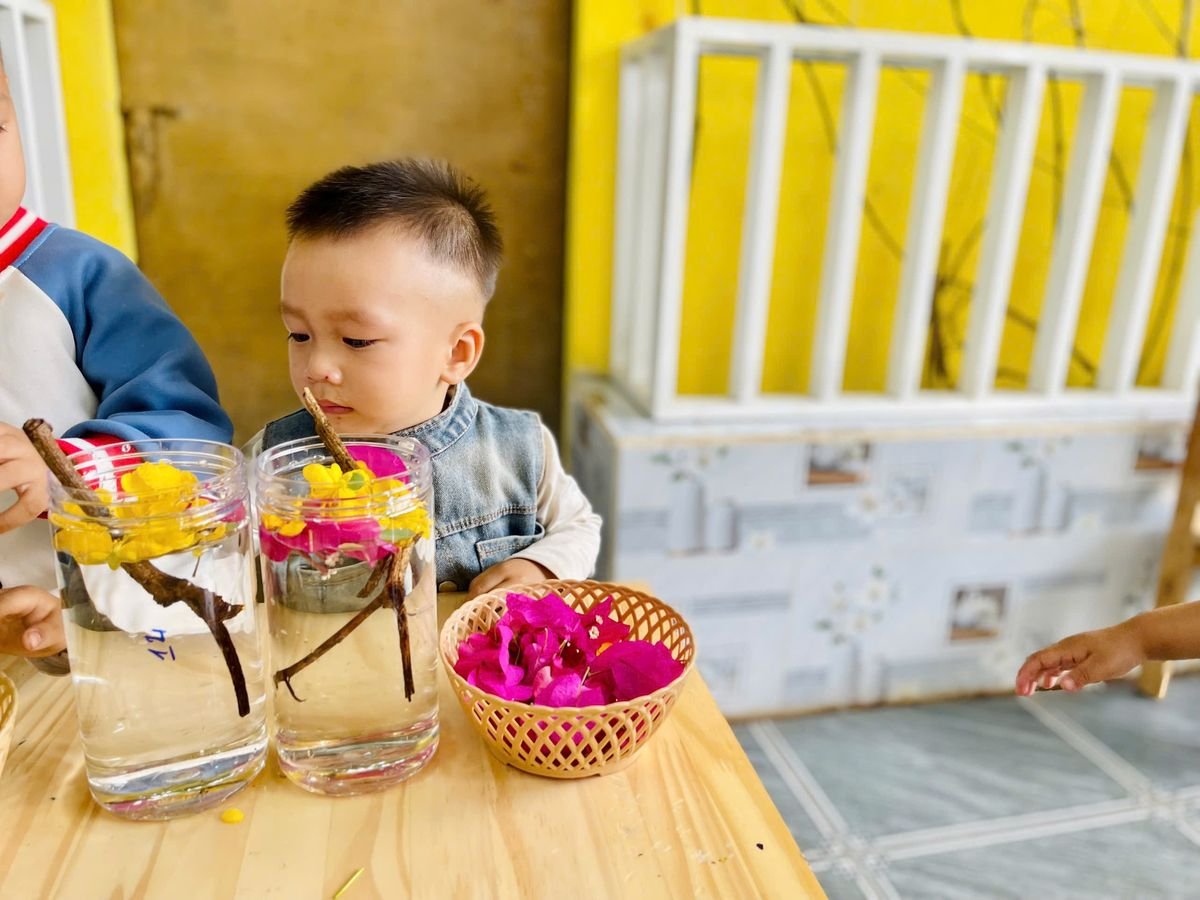 Ảnh hoạt động