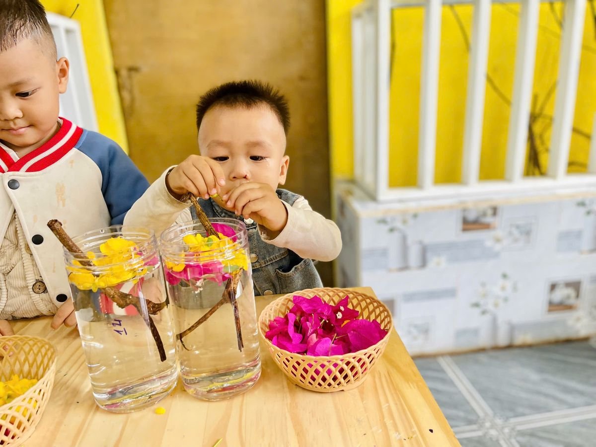 Ảnh hoạt động