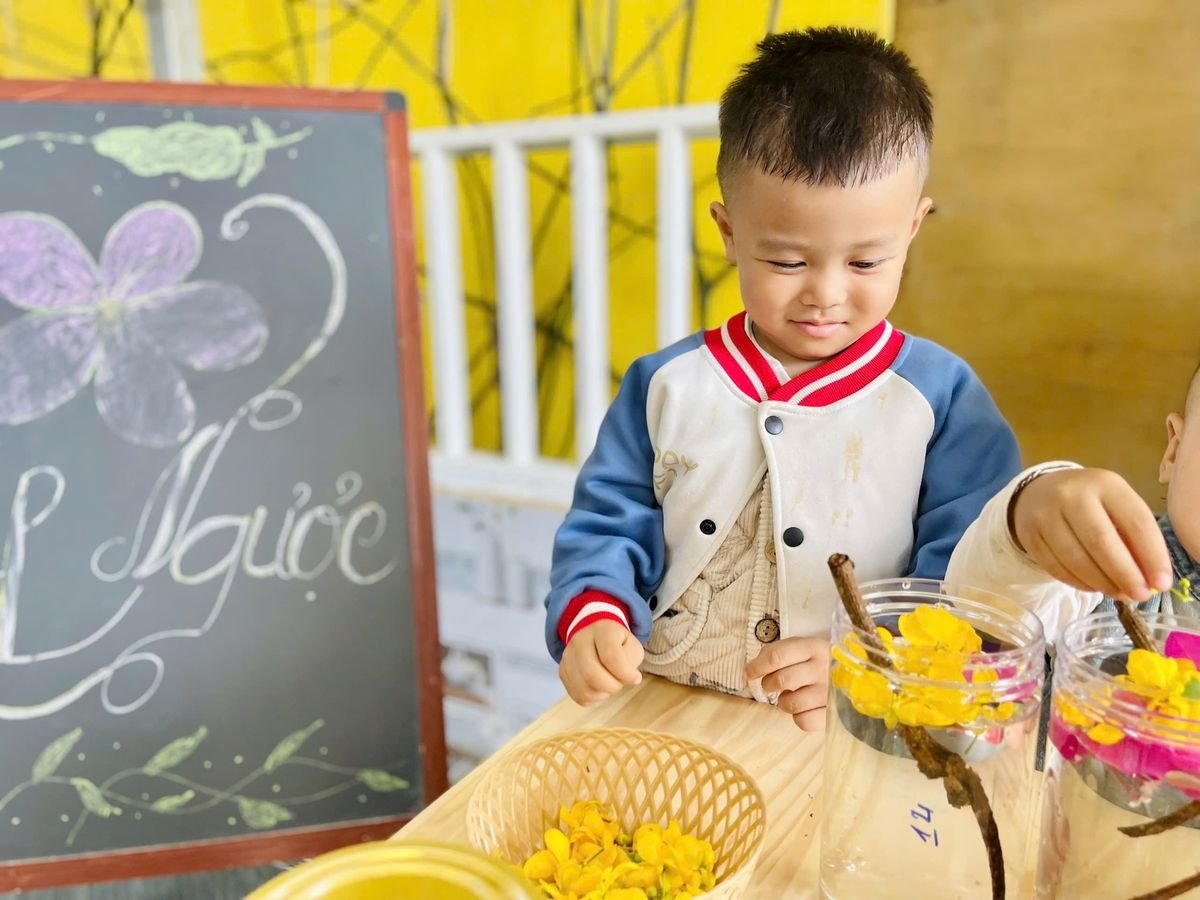 Ảnh hoạt động