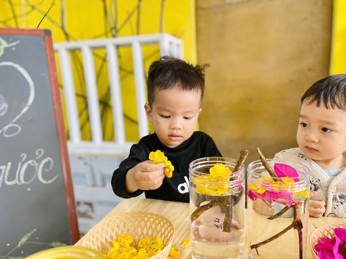 Ảnh hoạt động