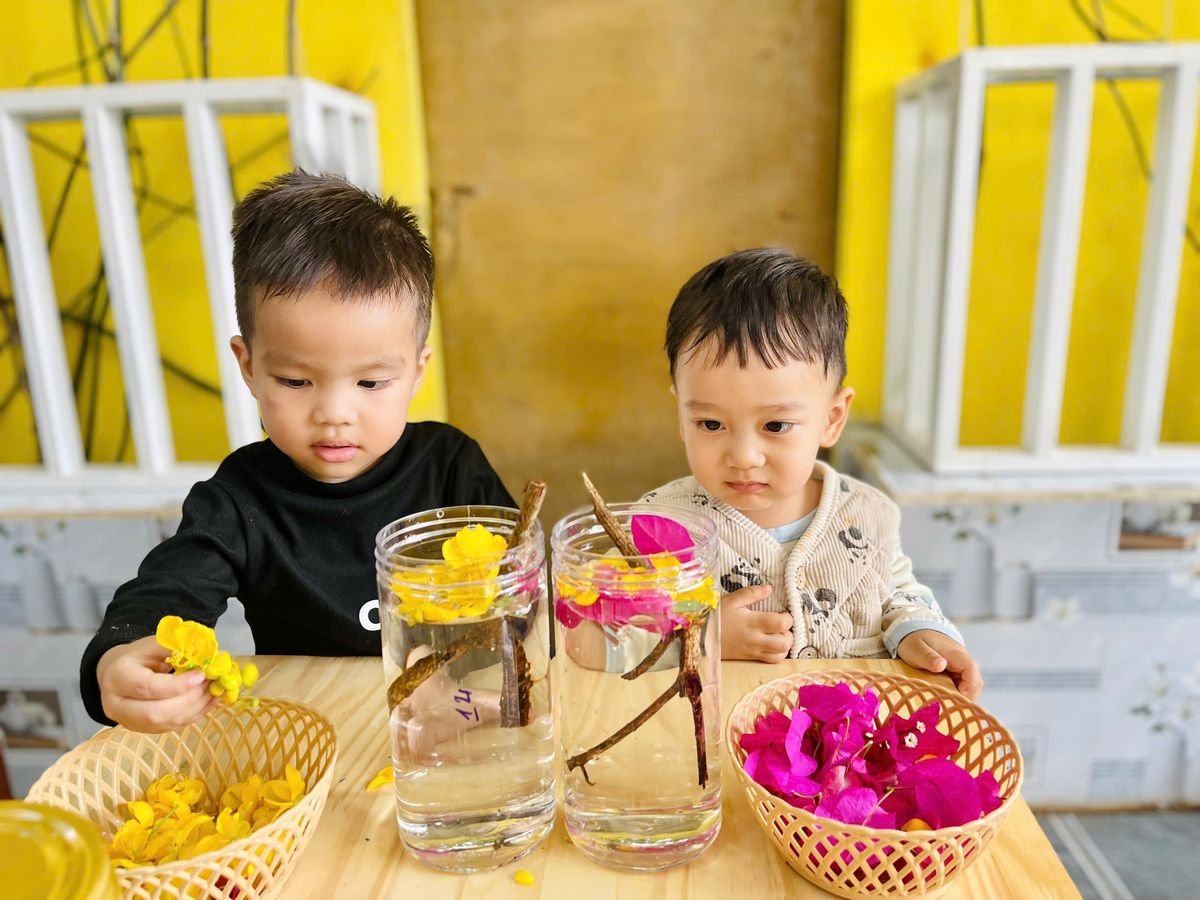 Ảnh hoạt động