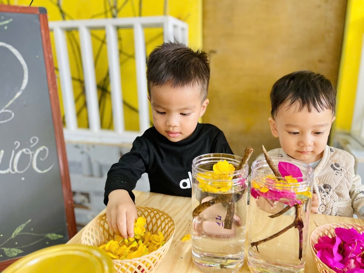 Ảnh hoạt động